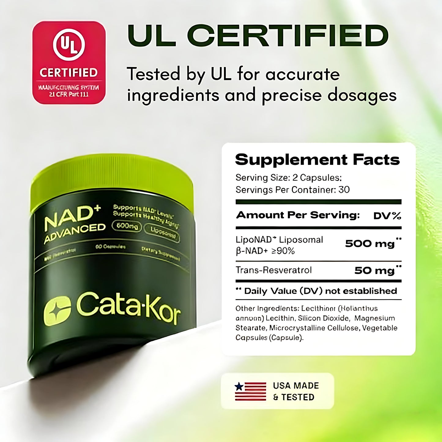 NMNH Supplement Alternative - Liposomal NAD with Resveratrol - High Purity NAD Supplement for Anti-Aging, Energy, Focus - 60 Capsules