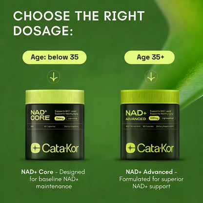 NMNH Supplement Alternative - Liposomal NAD with Resveratrol - High Purity NAD Supplement for Anti-Aging, Energy, Focus - 60 Capsules